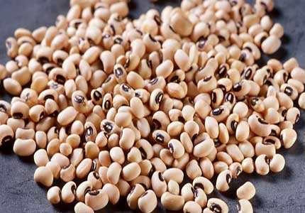 cow-pea_seed_in_western