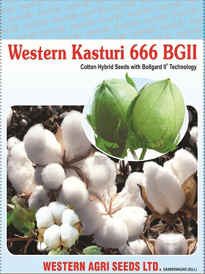 western-kasturi-666